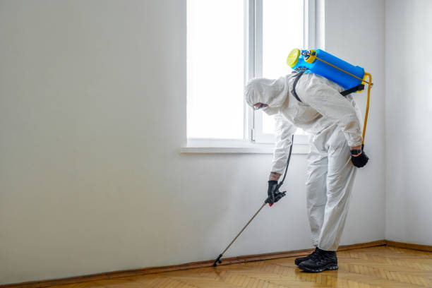 Best Ant Control Services  in USA